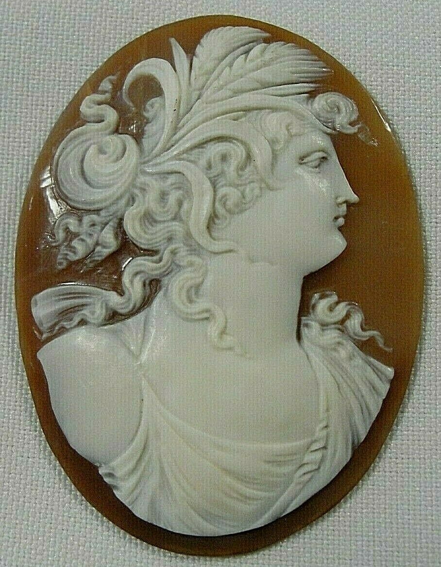 #1 Beautiful Large Antique Unset Carved Shell Cameo Of Woman 19th Century