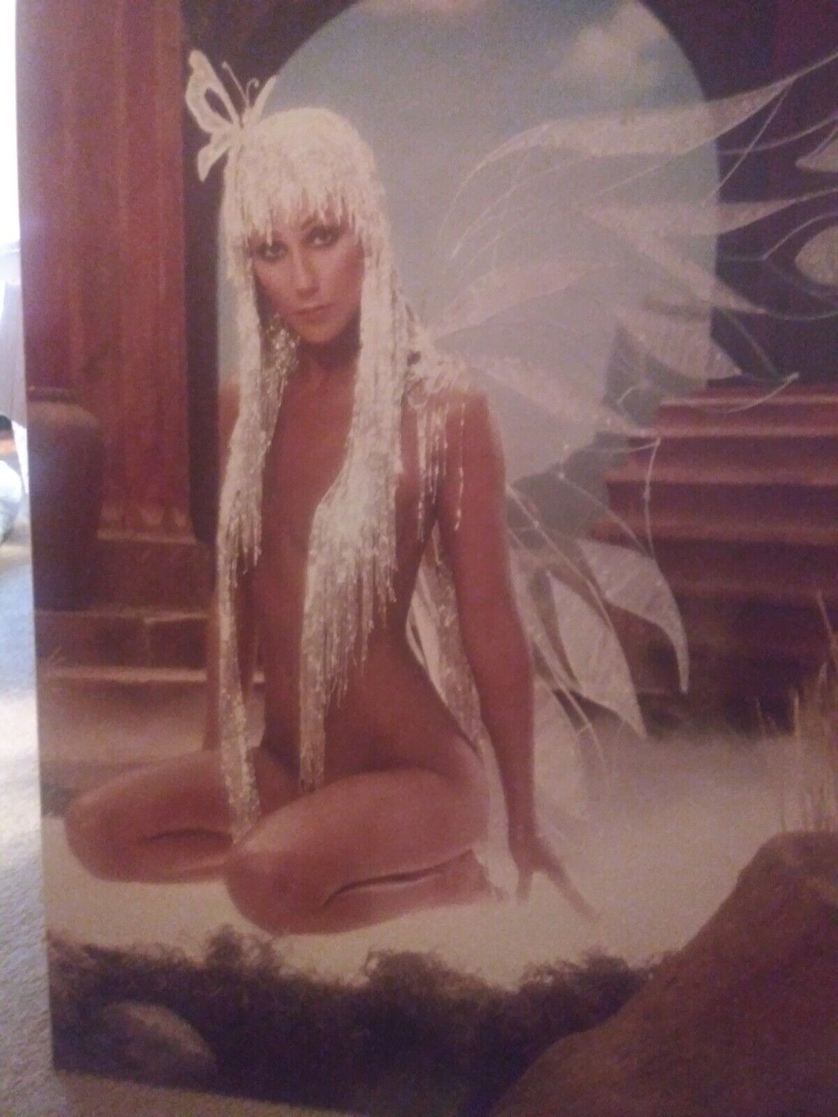 70's Cher Poster in Mint Condition