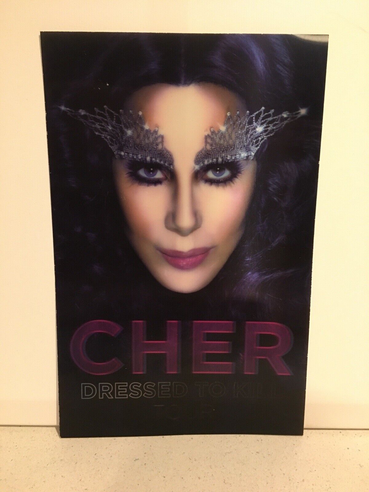 RARE! Gorgeous CHER Dressed To Kill Tour 3D Poster 17” x 11”